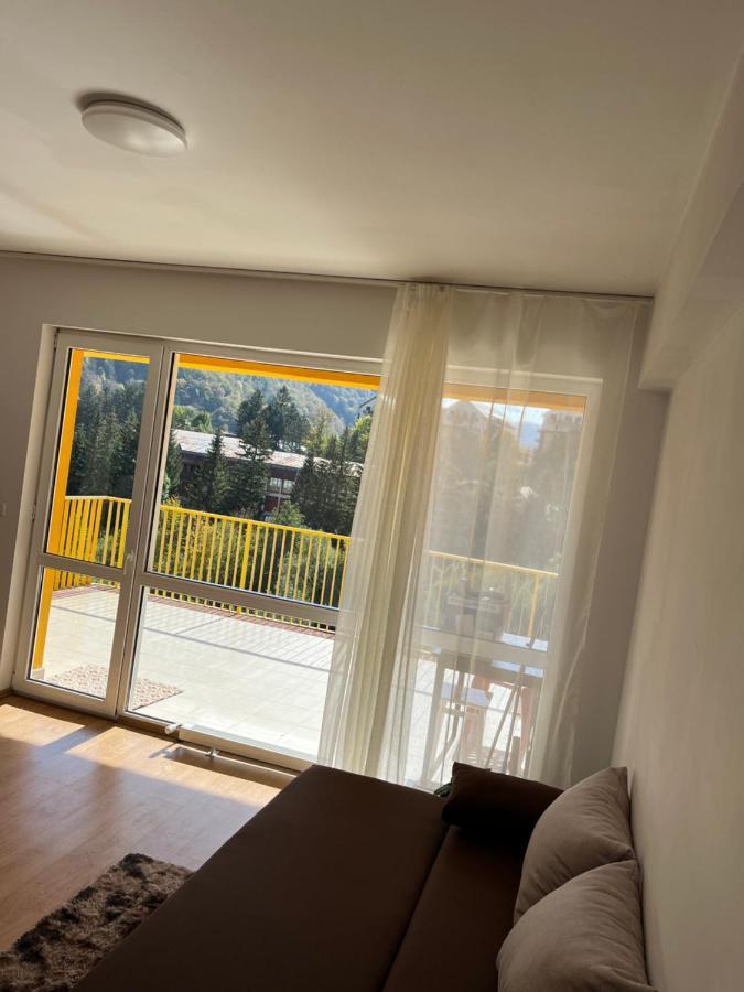 Anissia Apartament Apartment Sinaia Bagian luar foto