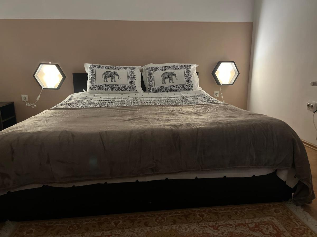 Anissia Apartament Apartment Sinaia Bagian luar foto
