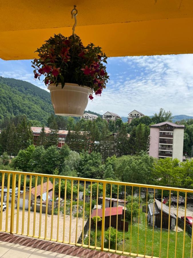 Anissia Apartament Apartment Sinaia Bagian luar foto