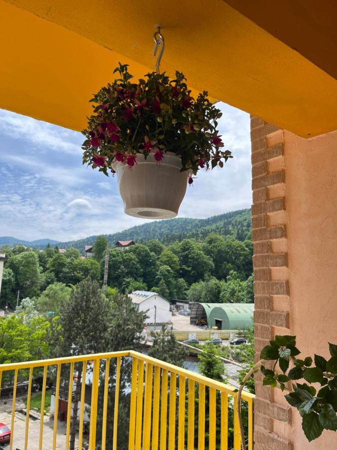 Anissia Apartament Apartment Sinaia Bagian luar foto